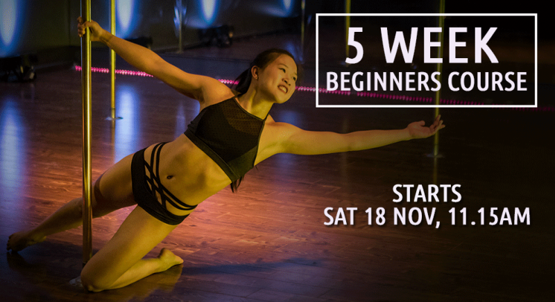Join our 5 week Beginners Course starting Saturday 18 November