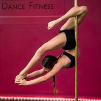 Ashley Denaro 2015 Polarity Pole Show Dancer